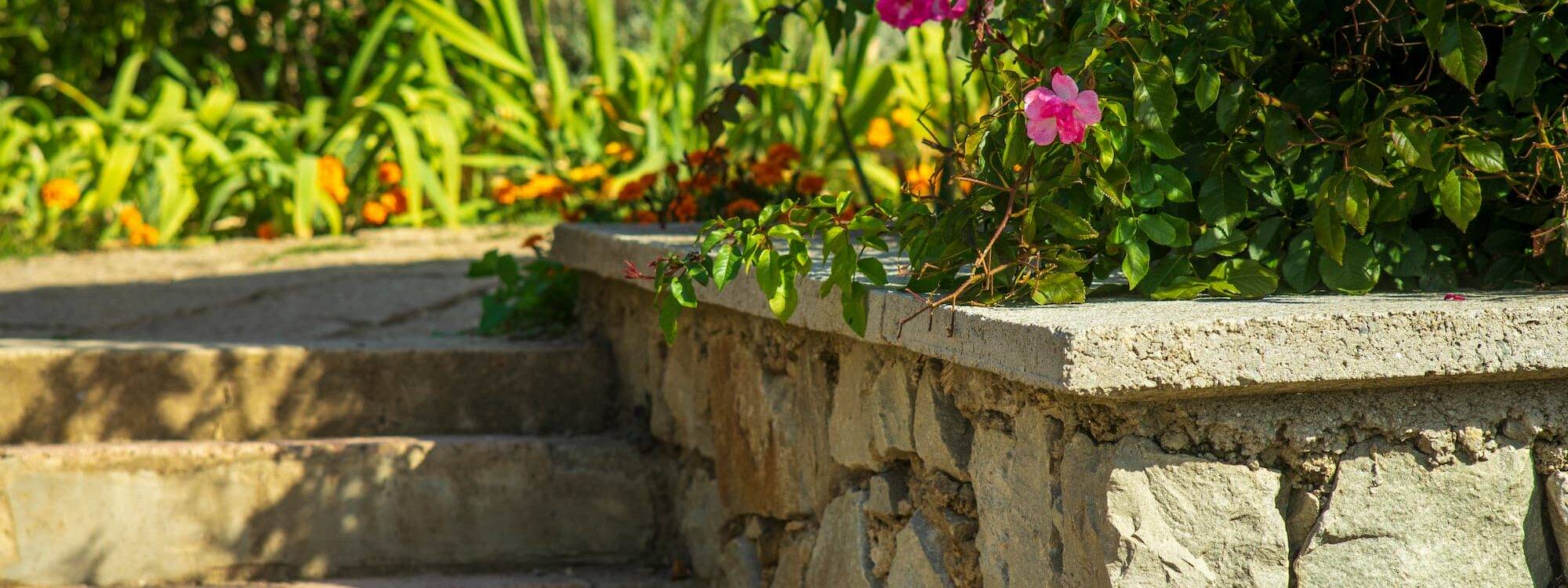 Quels végétaux planter sur un mur de soutènement pour un rendu esthétique ? Wittenheim