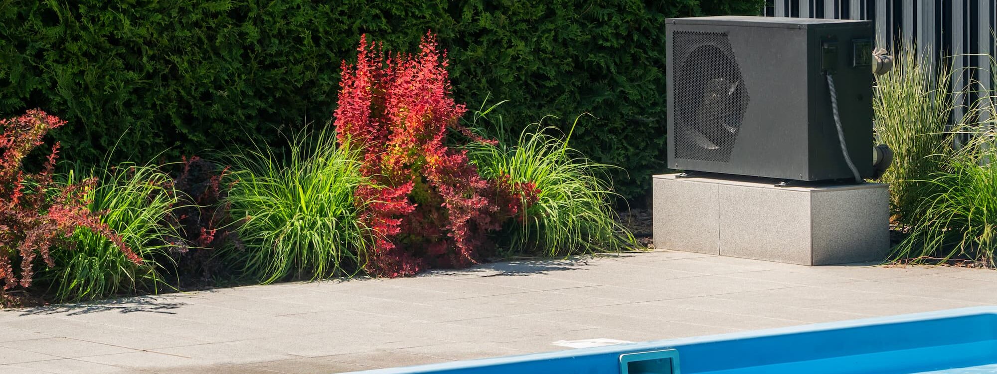 Quelles plantes choisir autour d&rsquo;une piscine pour un jardin sans entretien ? Illzach